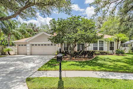 4102 Imperial Eagle Dr Valrico, FL 33594