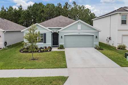 15487 Black Pepper Ln Odessa, FL 33556