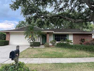 1925 Brae Moor Dr Dunedin, FL 34698