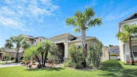8830 Tropical Palm Dr Tampa, FL 33626