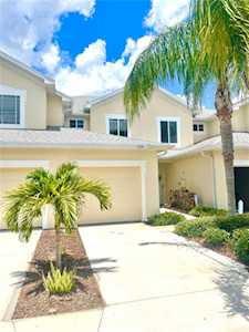 424 Harbor Ridge Dr Palm Harbor, FL 34683