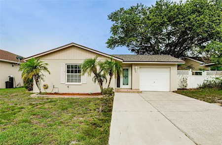 840 Grenoble Dr Palm Harbor, FL 34684