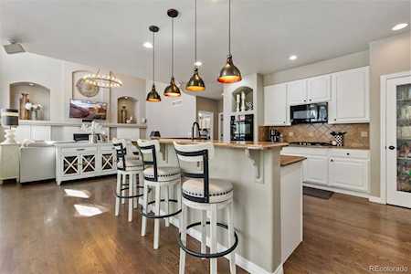 11004 Puma Run Littleton, CO 80124