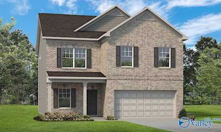 117 Ginhouse Way Priceville, AL 35603