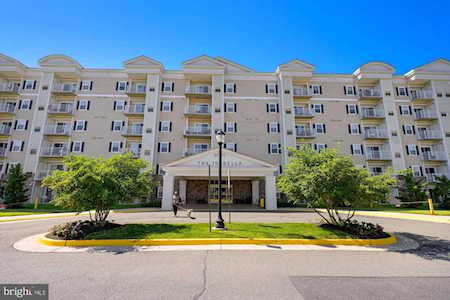 6301 Edsall Rd #219 Alexandria, VA 22312