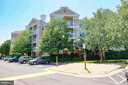 2204 Westcourt Ln #104 Herndon, VA 20170