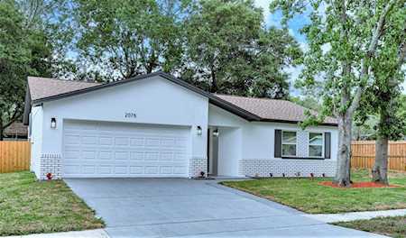 2075 E Orangehill Ave Palm Harbor, FL 34683