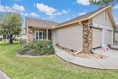 6419 Cabbage Ln New Port Richey, FL 34653