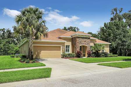 11609 Bromley Ct Lithia, FL 33547