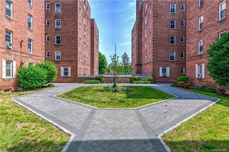 60 Locust Avenue #106A New Rochelle, NY 10801