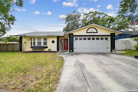 1336 Homestead Dr Palm Harbor, FL 34683