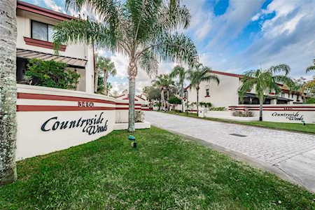 3460 Countryside Blvd #56 Clearwater, FL 33761