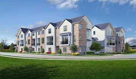 803 Sienna Palm Lane Houston, TX 77008