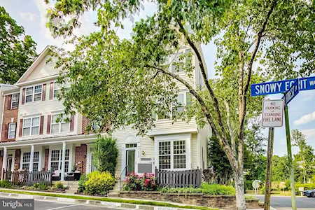 8310 Snowy Egrit Way #41 Lorton, VA 22079