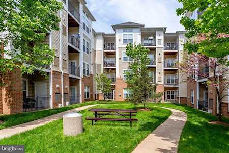 3840 Lightfoot St #239 Chantilly, VA 20151