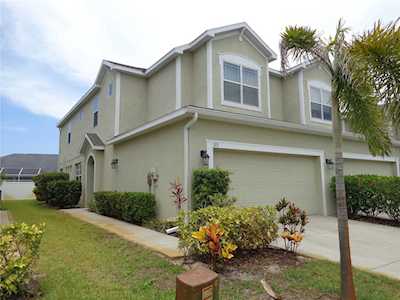 523 Harbor Springs Dr Palm Harbor, FL 34683