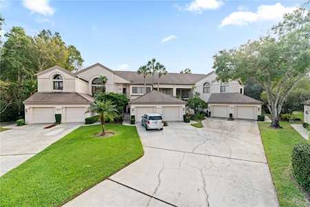 3014 Red Oak Ct #101 Palm Harbor, FL 34684
