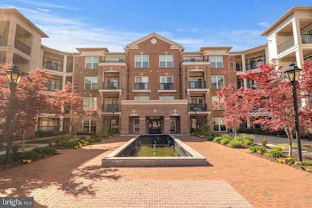2903 Saintsbury Plaza #106 Fairfax, VA 22031