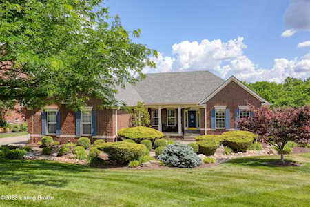 9908 Fringe Tree Ct Louisville, KY 40241