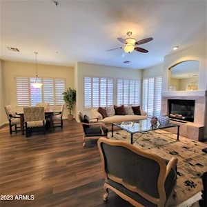 8226 E Mountain Spring Road Scottsdale, AZ 85255