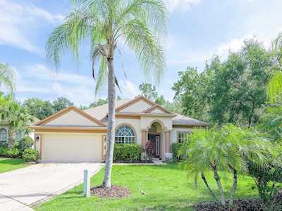 23223 Emerson WAY Land O Lakes, FL 34639