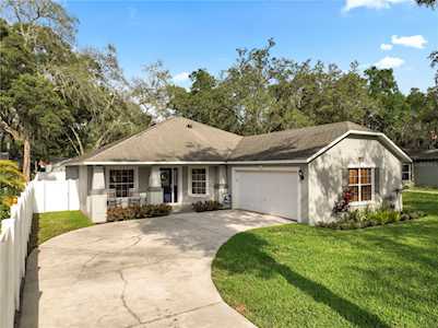 11717 Sycamore PLACE Temple Terrace, FL 33617