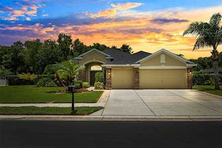 1925 Tarragon Ln New Port Richey, FL 34655