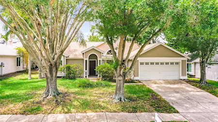 2837 Penridge Dr Palm Harbor, FL 34684