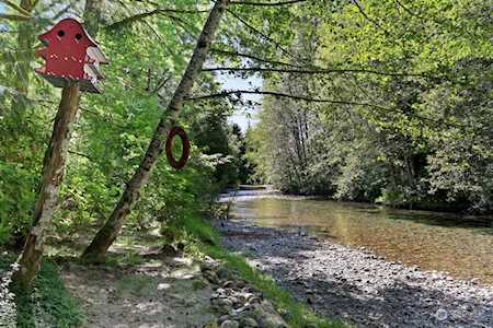41309 300th Place NE Arlington, WA 98223