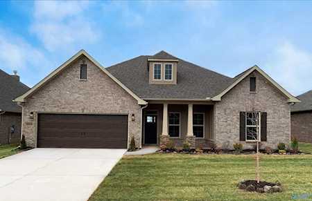 163 Rita Ann Way Meridianville, AL 35759