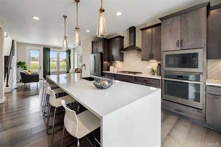 3573 Mykonos Dr Castle Rock, CO 80109