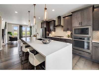 3573 Mykonos Dr Castle Rock, CO 80109
