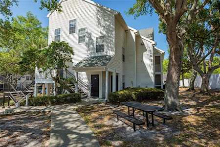3301 Haviland Ct #103 Palm Harbor, FL 34684