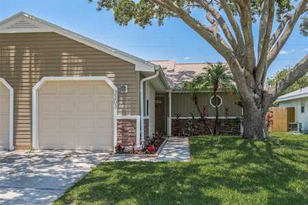 3303 Hibiscus Dr Palm Harbor, FL 34684