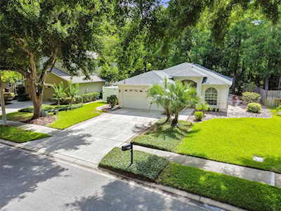 2031 Otter WAY Palm Harbor, FL 34685