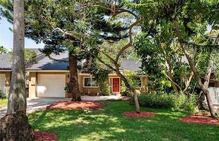 8432 Tangelo Tree Dr Orlando, FL 32836