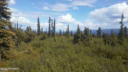 Tr 14 S Timber Wolf Rd Remote, AK 99674