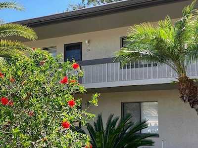 222 Nina WAY #222 Oldsmar, FL 34677
