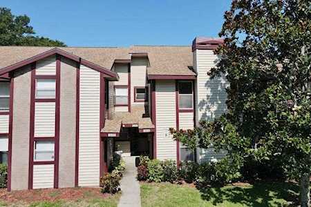1694 Hampton Ln #805 Palm Harbor, FL 34683