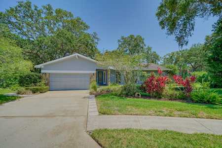 6 Fernery Ln Safety Harbor, FL 34695