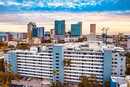 201 W Laurel St #705 Tampa, FL 33602