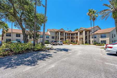 4515 Whitton WAY #114 New Port Richey, FL 34653