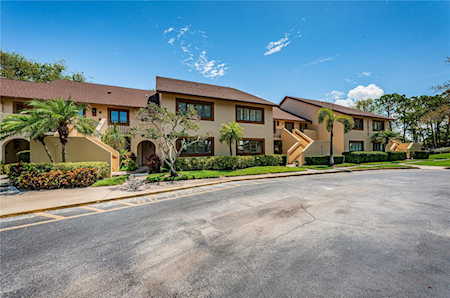 8001 Bardmoor PLACE #204 Seminole, FL 33777