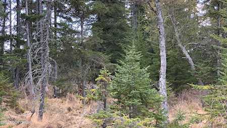 35767 Lifeboat Loop Anchor Point, AK 99556