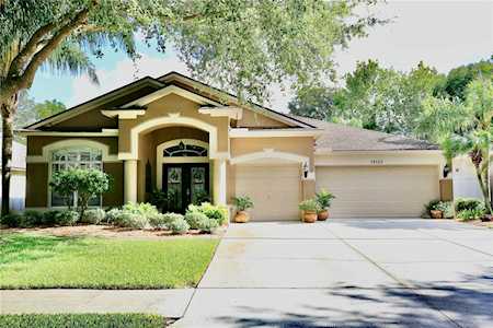 19120 Fern Meadow LOOP Lutz, FL 33558