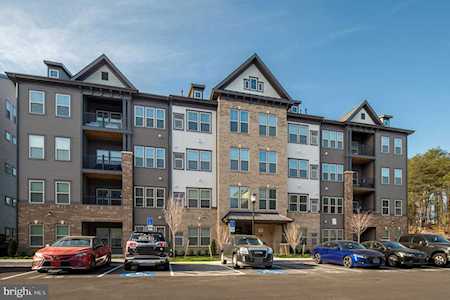 10010 Ruffian Way #P Laurel, MD 20723