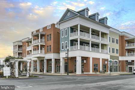 12001 Old Vine Blvd #310 Lewes, DE 19958