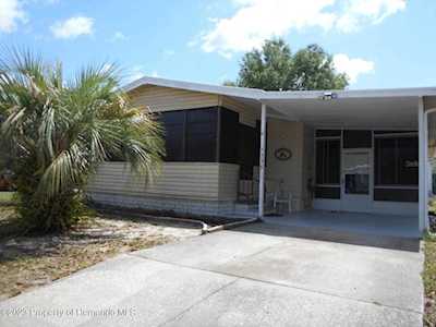 7338 Mina Ave Brooksville, FL 34613