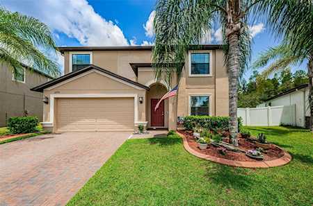 12700 Mountain Springs PLACE Trinity, FL 34655