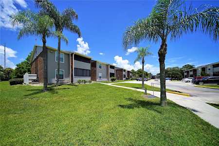 1400 Gandy Blvd N #406 St. Petersburg, FL 33702